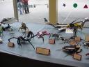 nwbc200644.jpg