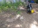 20170527_130621.jpg