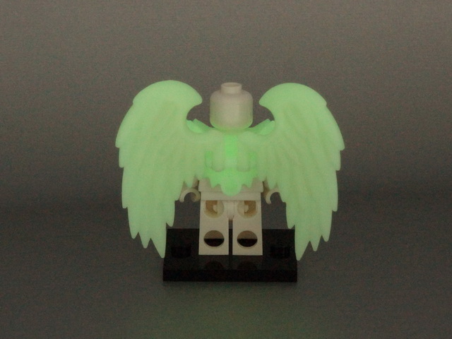 dsc06098.jpg