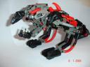 collection_012_resize.jpg