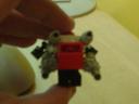 dsc00819.jpg