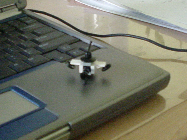 dsc00001.jpg