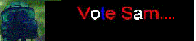 votesam2.gif