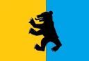 bear_tests2.jpg