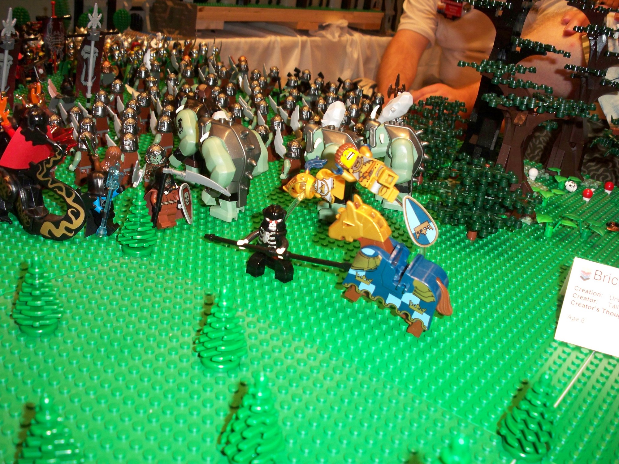100_2551.jpg