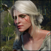 the_witcher_3_ciri_by_scratcherpen-d89yjob.png
