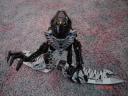 mocaxtoa_016.jpg