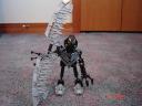 mocaxtoa_019.jpg