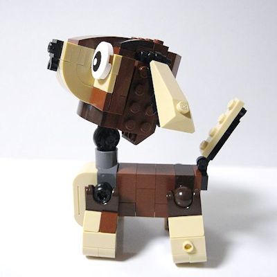 puppy-03.jpg