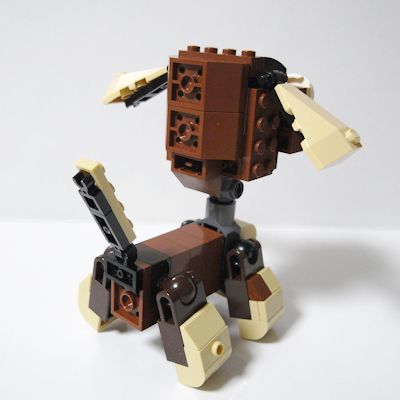 puppy-07.jpg