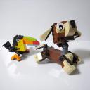puppy-08.jpg