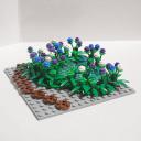 pond-of-the-iris-02.jpg