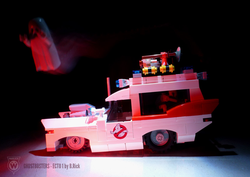 ecto_12_a.jpg