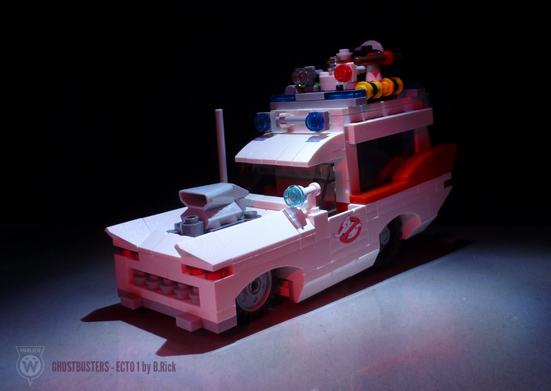 ecto_14_a.jpg