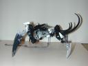 dscn5516.jpg