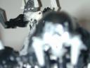 dscn5529.jpg