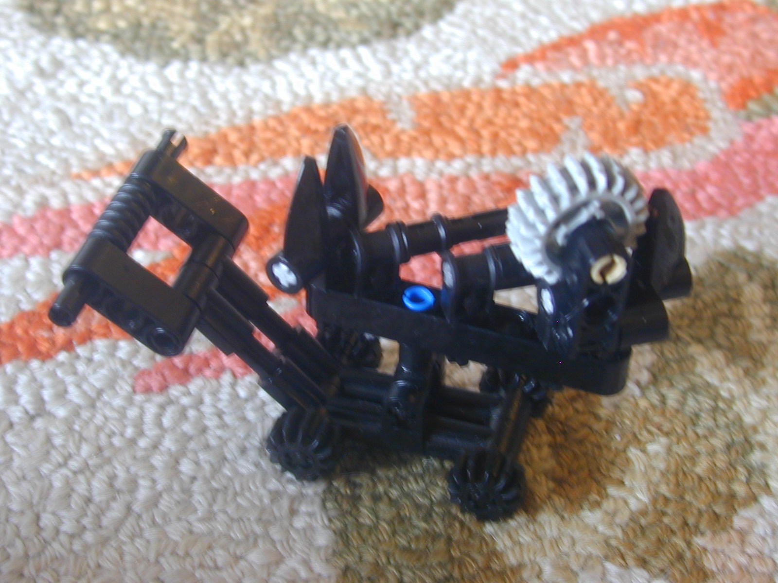 dscn5892.jpg