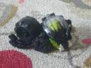 dscn5886.jpg