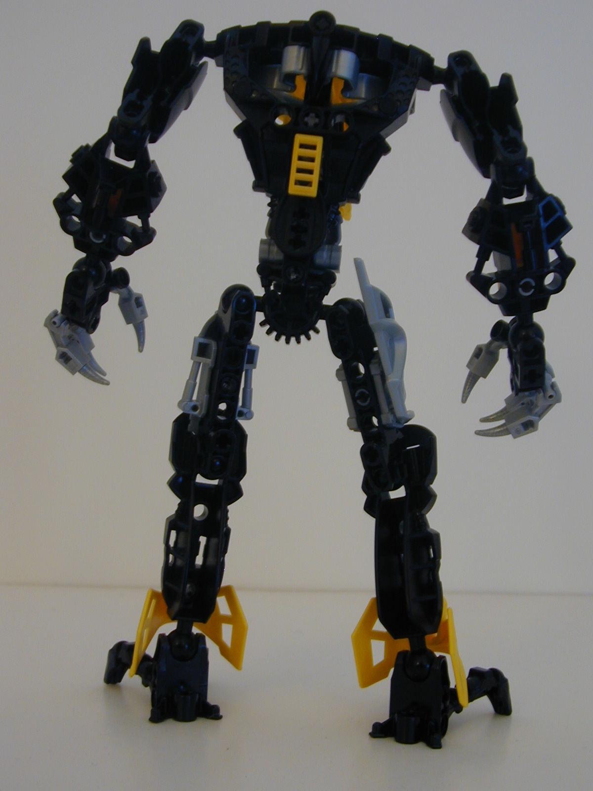 dscn0008.jpg