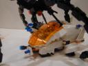 dscn5820.jpg