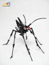 cerambycidae01.jpg