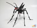 cerambycidae02.jpg