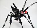 cerambycidae03.jpg