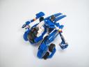 cyanocitta02.jpg