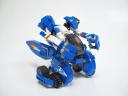 cyanocitta03.jpg