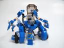 cyanocitta06.jpg
