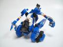 cyanocitta092.jpg