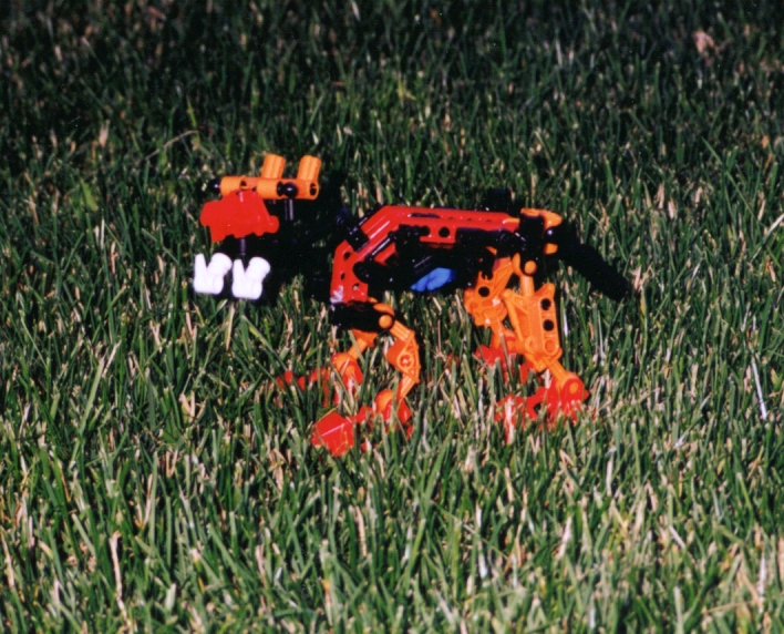 bigdog.jpg