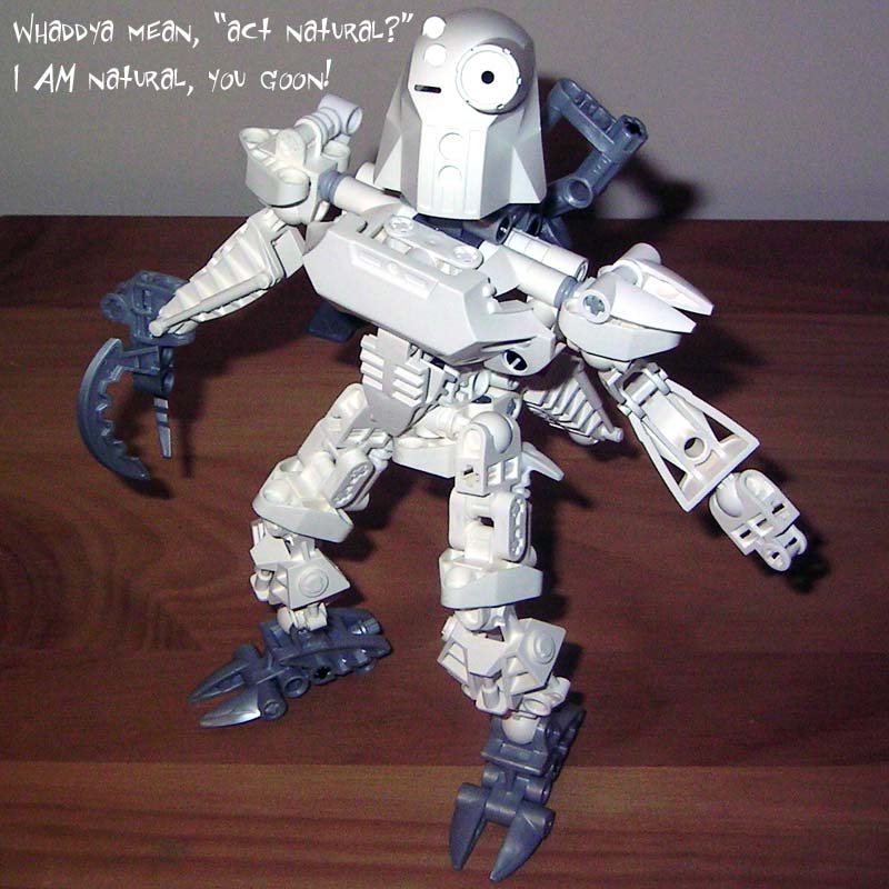 06.jpg
