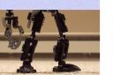 legs.png