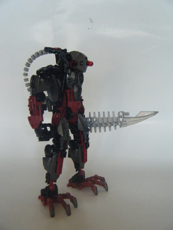 t-brahk-08.jpg
