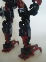 t-brahk-12.jpg