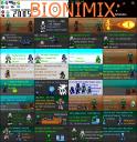 bionimix2005part6.png
