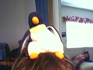 penguinhead.bmp