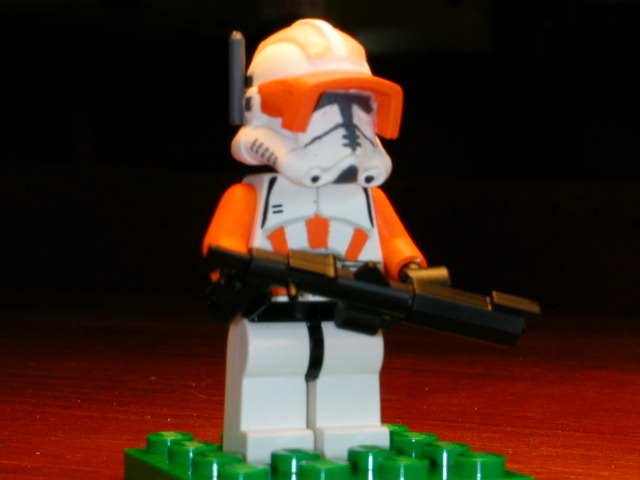rots_cody2.jpg