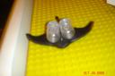 dsc01689.jpg