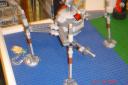 dsc01695.jpg
