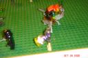 dsc01700.jpg