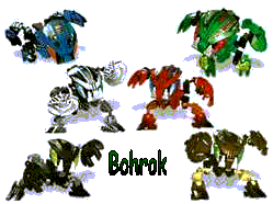 bohrok_pic.gif