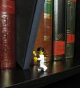 minifigbiblio.jpg