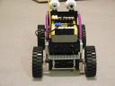 buggy_11.jpg