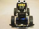 buggy_7.jpg