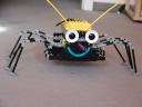 Spider