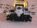 spider_6.jpg