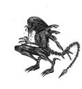 Xenomorphs