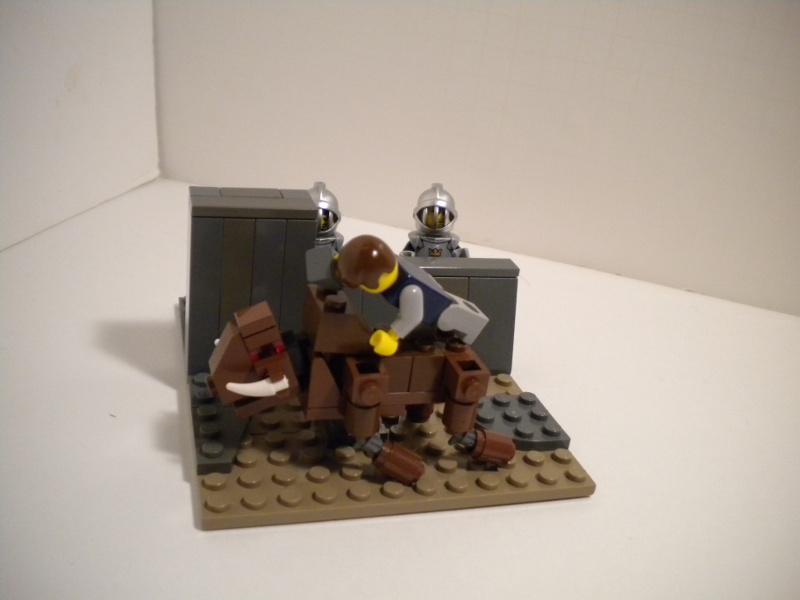 knighttesting2.jpg